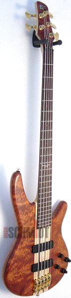 Ibanez 1005EBG.jpg